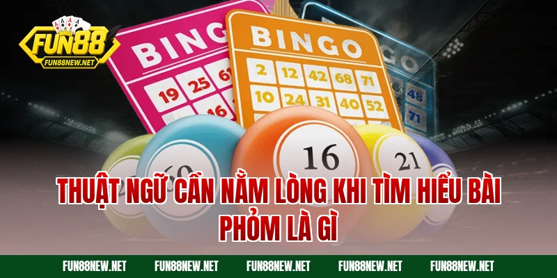 Thuật ngữ cần nằm lòng khi tìm hiểu bài phỏm là gì